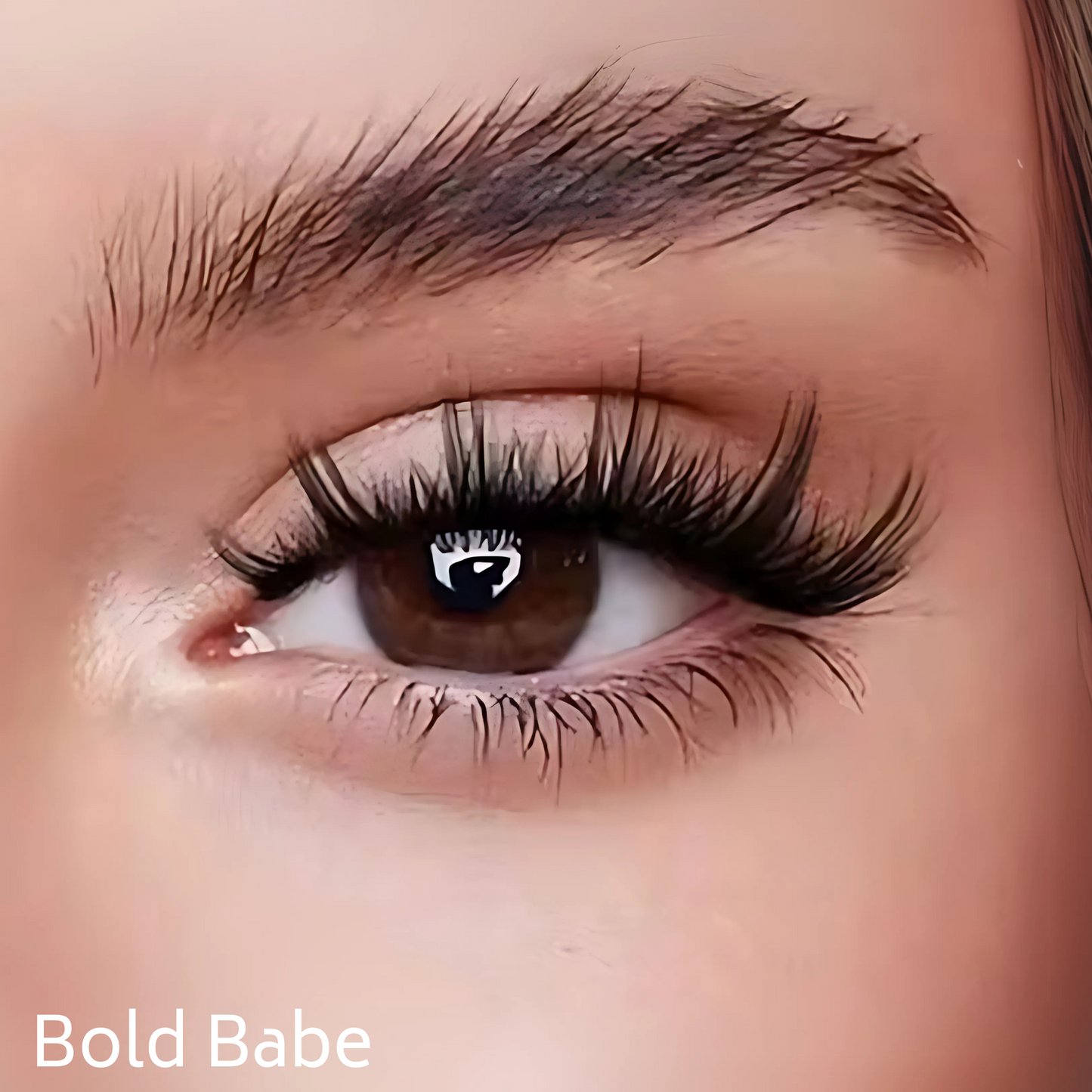 Magic Magnetic Lash Kit