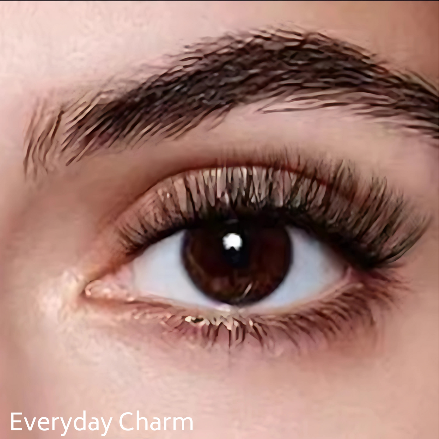 Magic Magnetic Lash Kit