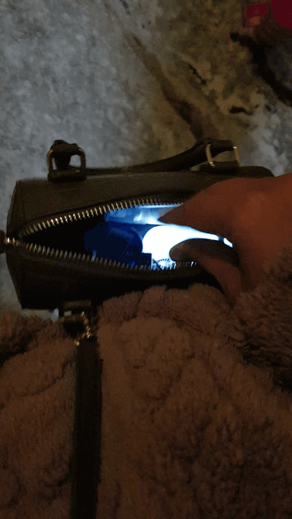 LumiMate Purse Light