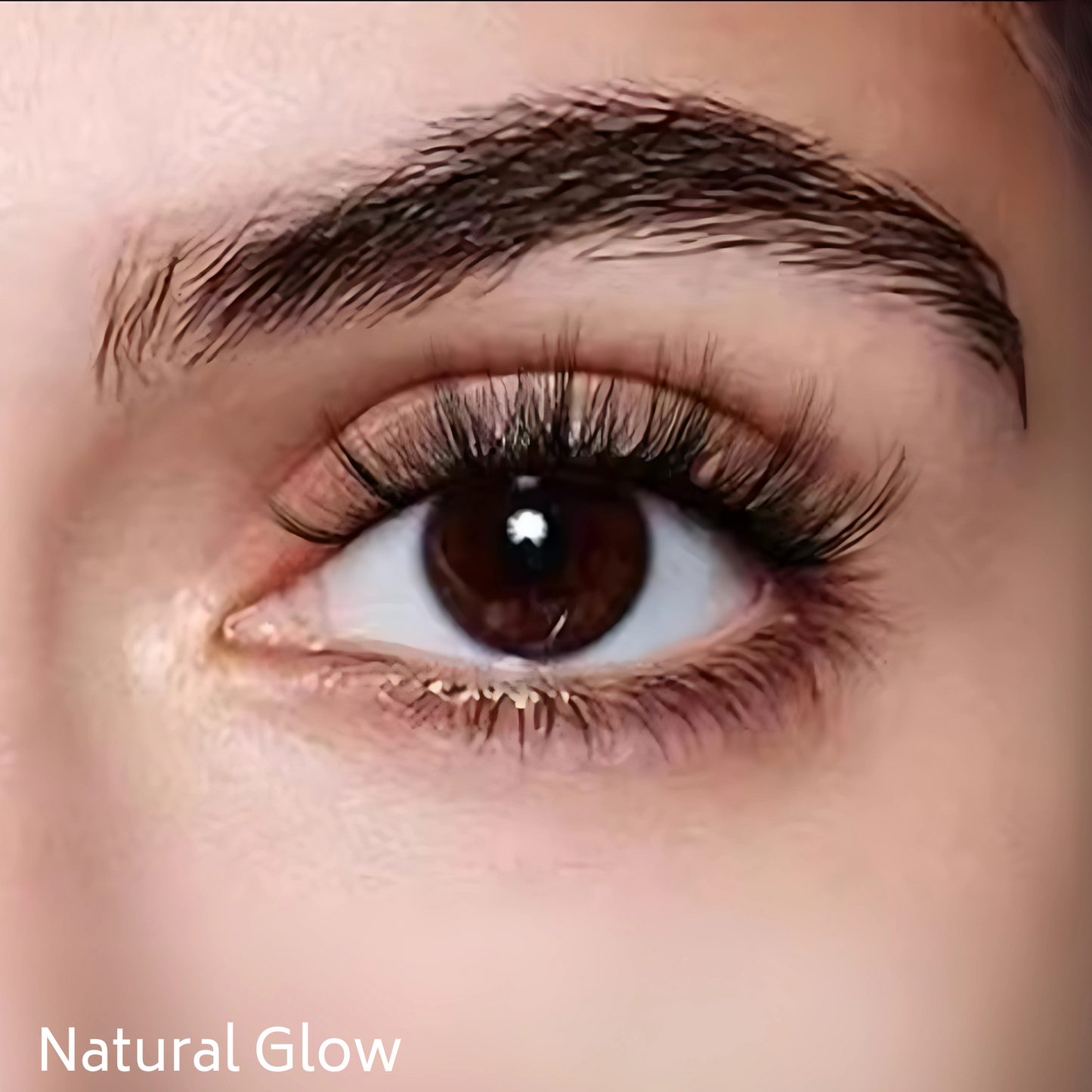 Magic Magnetic Lash Kit