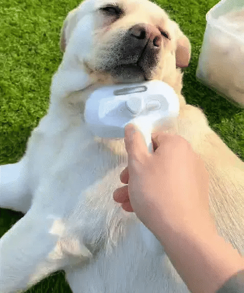 Gentle Pet Grooming Comb