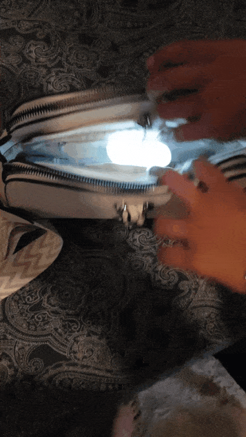 LumiMate Purse Light