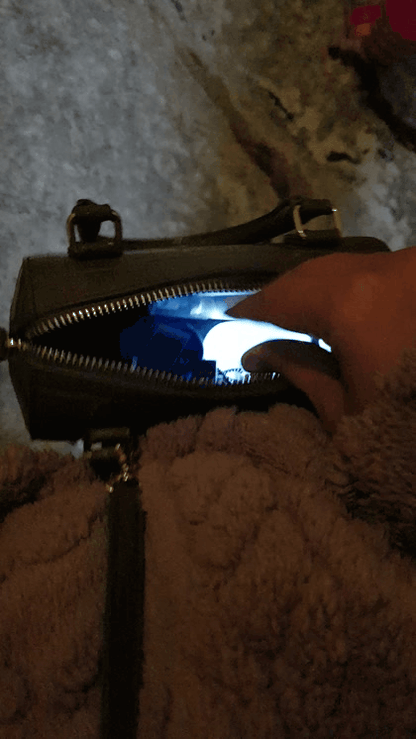 LumiMate Purse Light